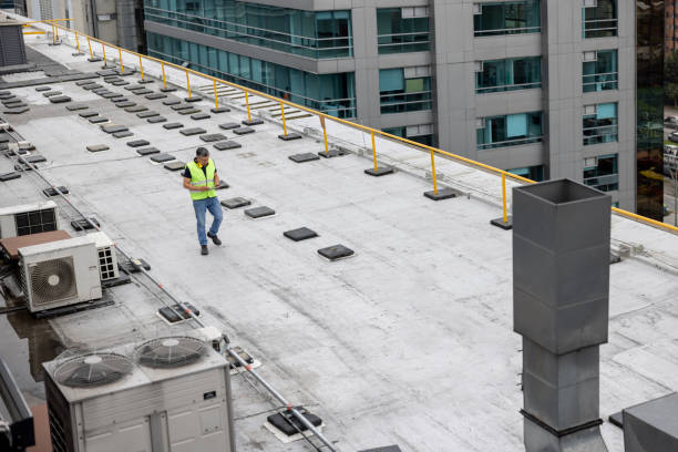 Best Roof Insulation Installation  in Newellton, LA